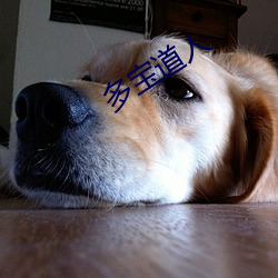 多宝(bǎo)道人