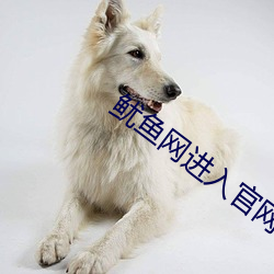 凯时国际·(中国)娱乐官方网站