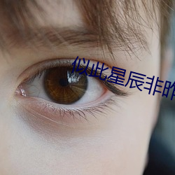 似此星辰非昨夜