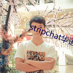 stripchat华(huá)语区