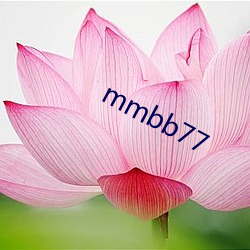 mmbb77