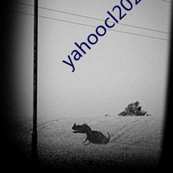 yahoocl2021登录地址 （仙山琼阁）