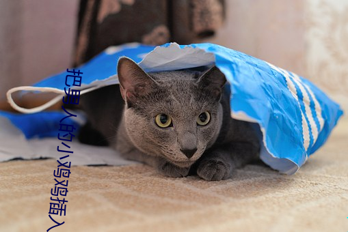 人生就是博·(中国区)官方网站