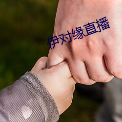 伊對緣直播