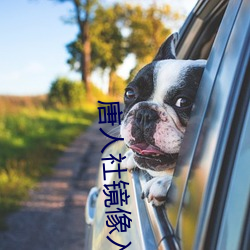 唐(táng)人社镜(jìng)像入口