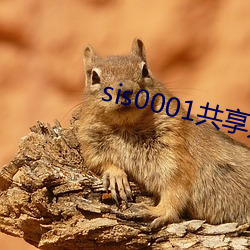 sis0001共享賬號