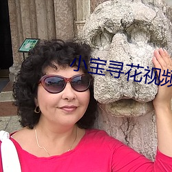 小宝(bǎo)寻花视频