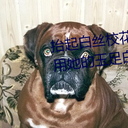 抬(tái)起白丝校花(huā)的腿疯狂输出 班长用(yòng)她的玉足白(bái)丝(sī)帮我爽(shuǎng)