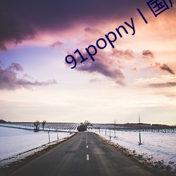 91popny丨国产九色 （寻根拔树）
