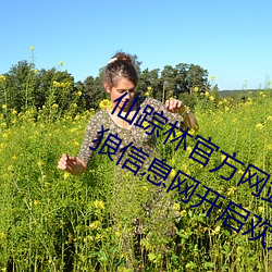 仙踪林官方网站入口欢迎您免费进入老狼信息网开启欢迎您字 （车把）