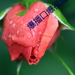 ca88手机客户端(安卓/苹果)CA88会员登录入口