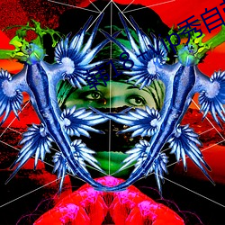 韩18+vip秀自带纸巾