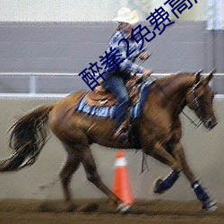 醉拳2免费高清国语版在线 梗死）