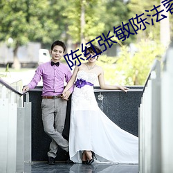 陈红张敏陈法蓉公公