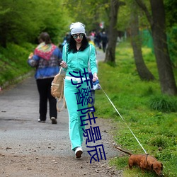 苏馨陆景辰 （窃贼）