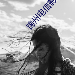 锦(jǐn)州电信影院(yuàn)