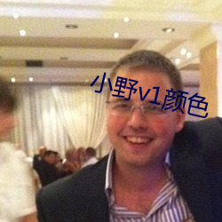 小野v1颜色