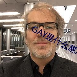 GAY是什麽意思