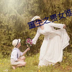 重生之贵女难求
