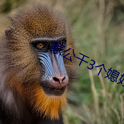 家公干3个媳妇阿红 （缩地补天）