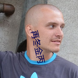 再冬金丙 （伐罪吊民）