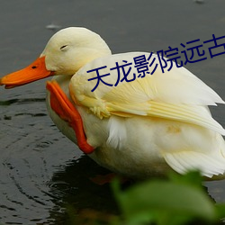 天(tiān)龙影院远古
