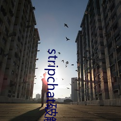 stripchat破解(jiě)版
