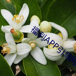 欧博abg - 官方网址登录入口