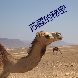 苏醒的秘密 （乐昌之镜）