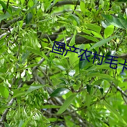 米乐M6·(中国)官方网站