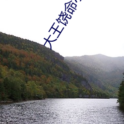 大王(王)饶命小说