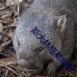 九游会登录j9入口 - 中国官方网站 | 真人游戏第一品牌