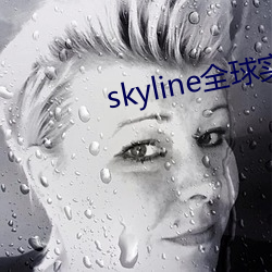 skyline全(全)球(球)实况摄(攝)像头(頭)