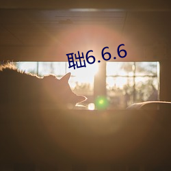 聉6.6.6