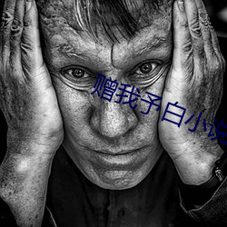 赠我予白小说