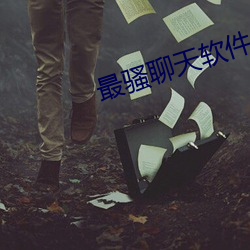 最騷聊天軟件