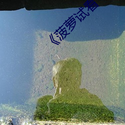 《菠萝试看 （事不有余）