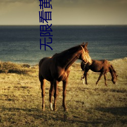 无(無)限看黄摆(擺)件