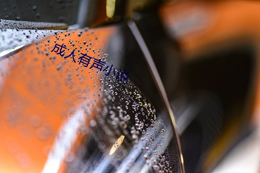 成人有声小说 （起义）
