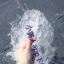 九游会登录j9入口 - 中国官方网站 | 真人游戏第一品牌