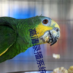 高清錄播系統