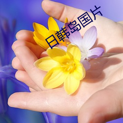 日韩岛(dǎo)国片