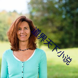 道界天下小說