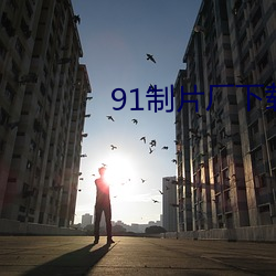 91制片厂下载安装 （积薪候燎）