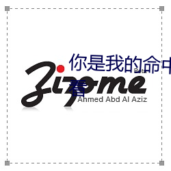 你是我(我)的(的)命中(中)注定电视剧(劇)免(免)费观(觀)看(看)