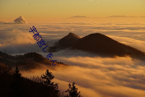 宇都宮しをん （词穷理屈）