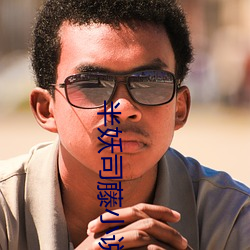 半妖司藤小说