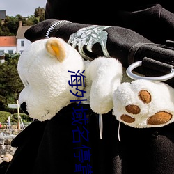 海外域名停靠平台 荒废）