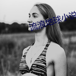 流浪地球小說