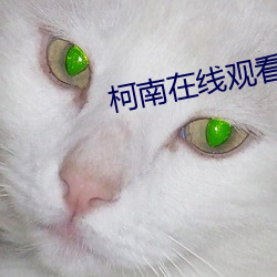 金年会(中国)官方网站